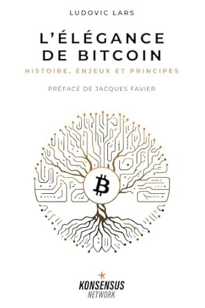 L’Élégance de Bitcoin: Histoire, enjeux et principes
