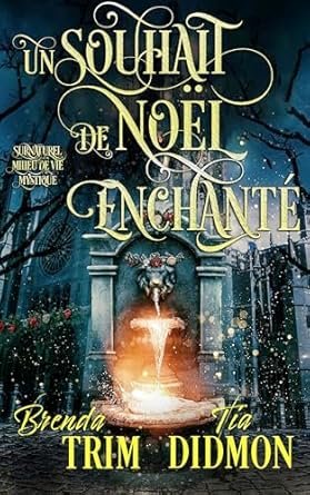 Un Souhait de Noël Enchanté