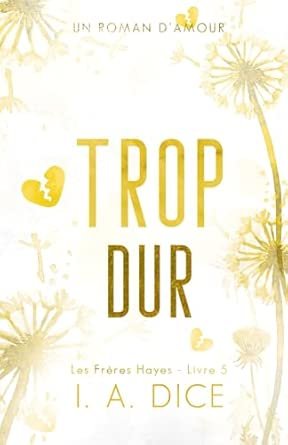 Les Frères Hayes, Tome 5 : Trop dur