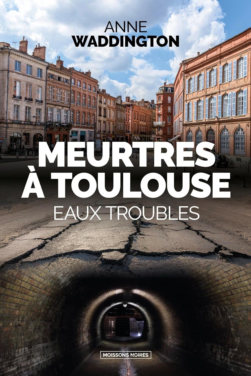 Meurtres à Toulouse: Eaux troubles