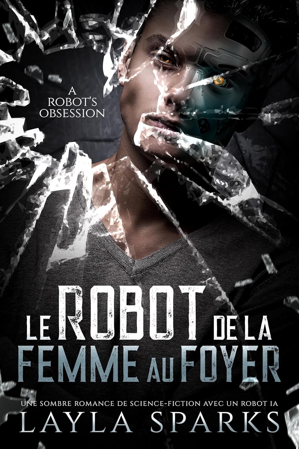 Le Robot de la Femme au Foyer