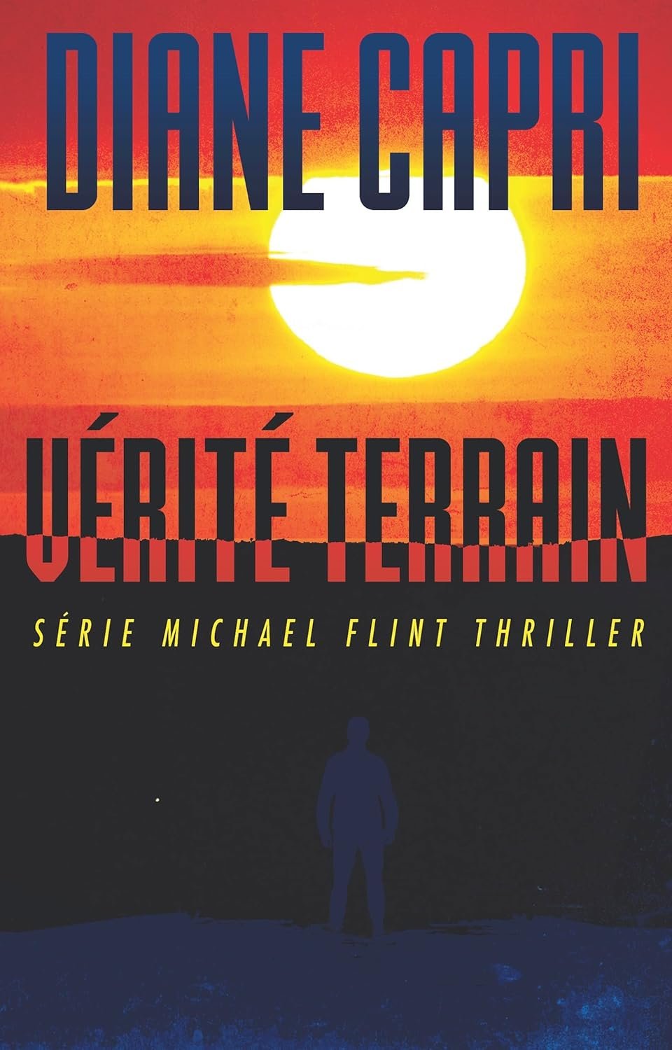 1001Ebooks - Vérité terrain Vérité terrain
