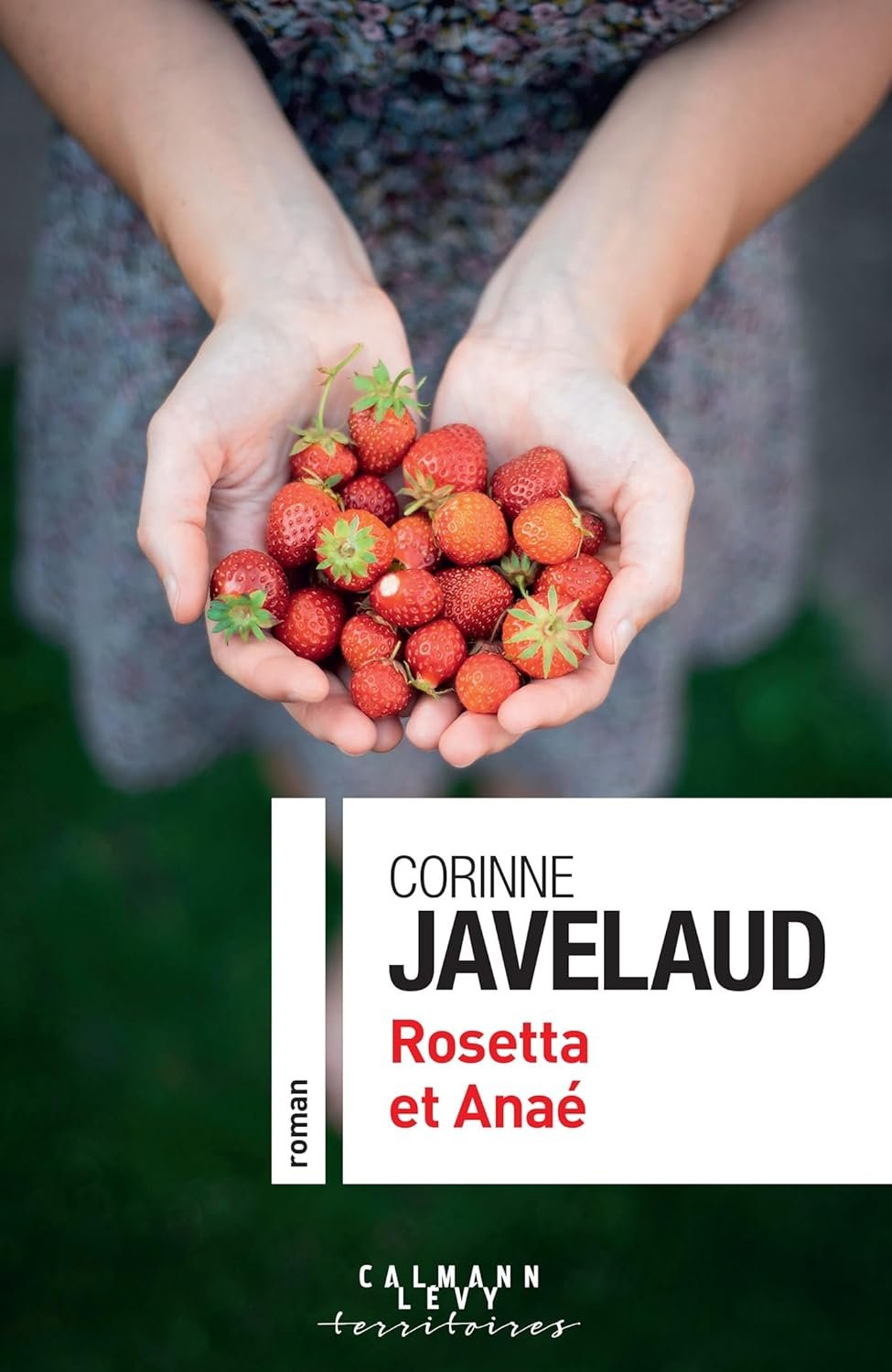 Rosetta et Anaé