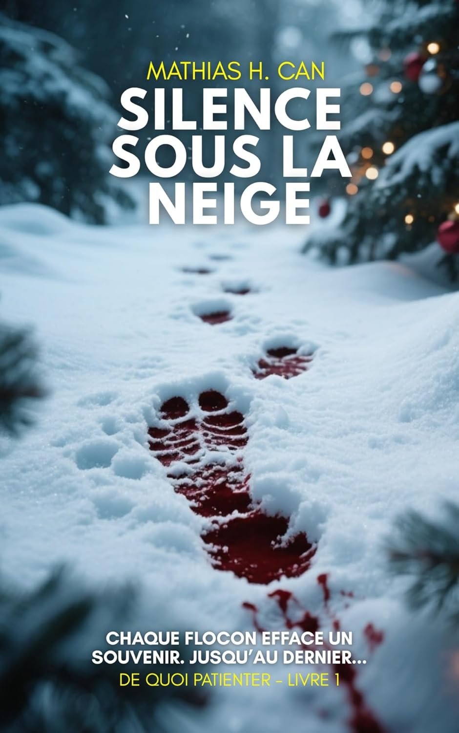 Silence sous la neige
