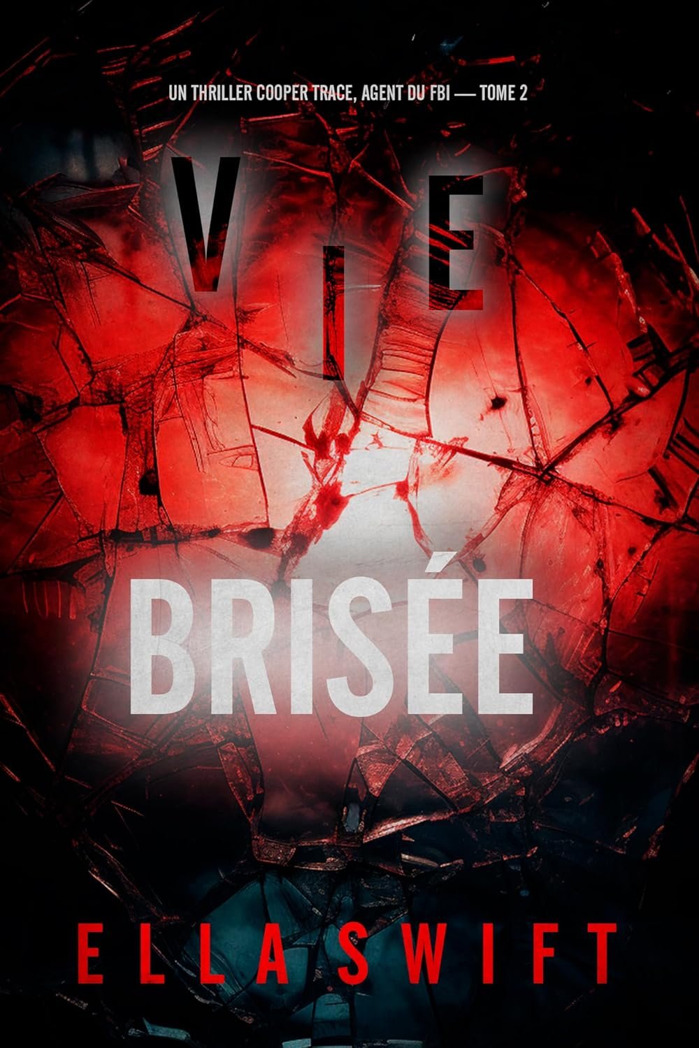 Vie Brisée