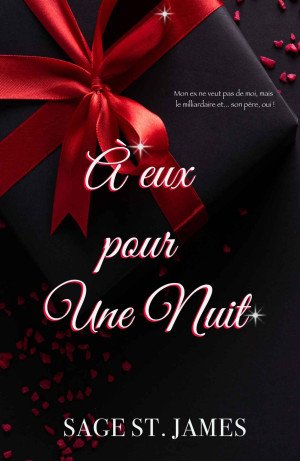 À eux pour une nuit