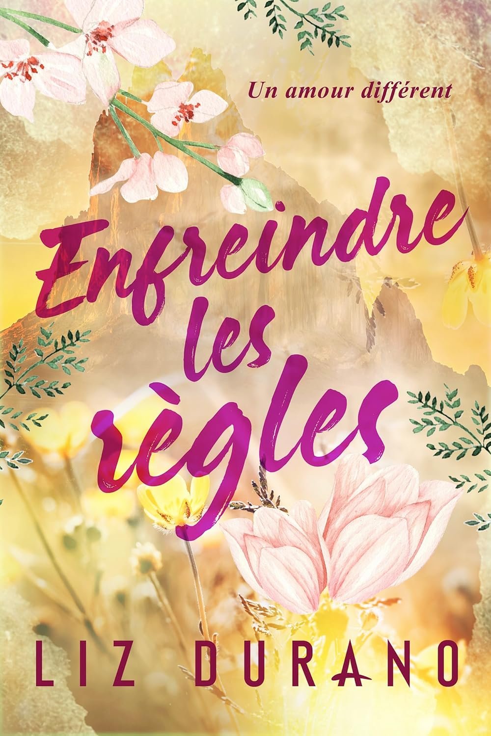 Un Amour Différent,Tome 2 : Enfreindre les règles