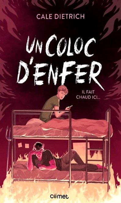 Un coloc d'enfer