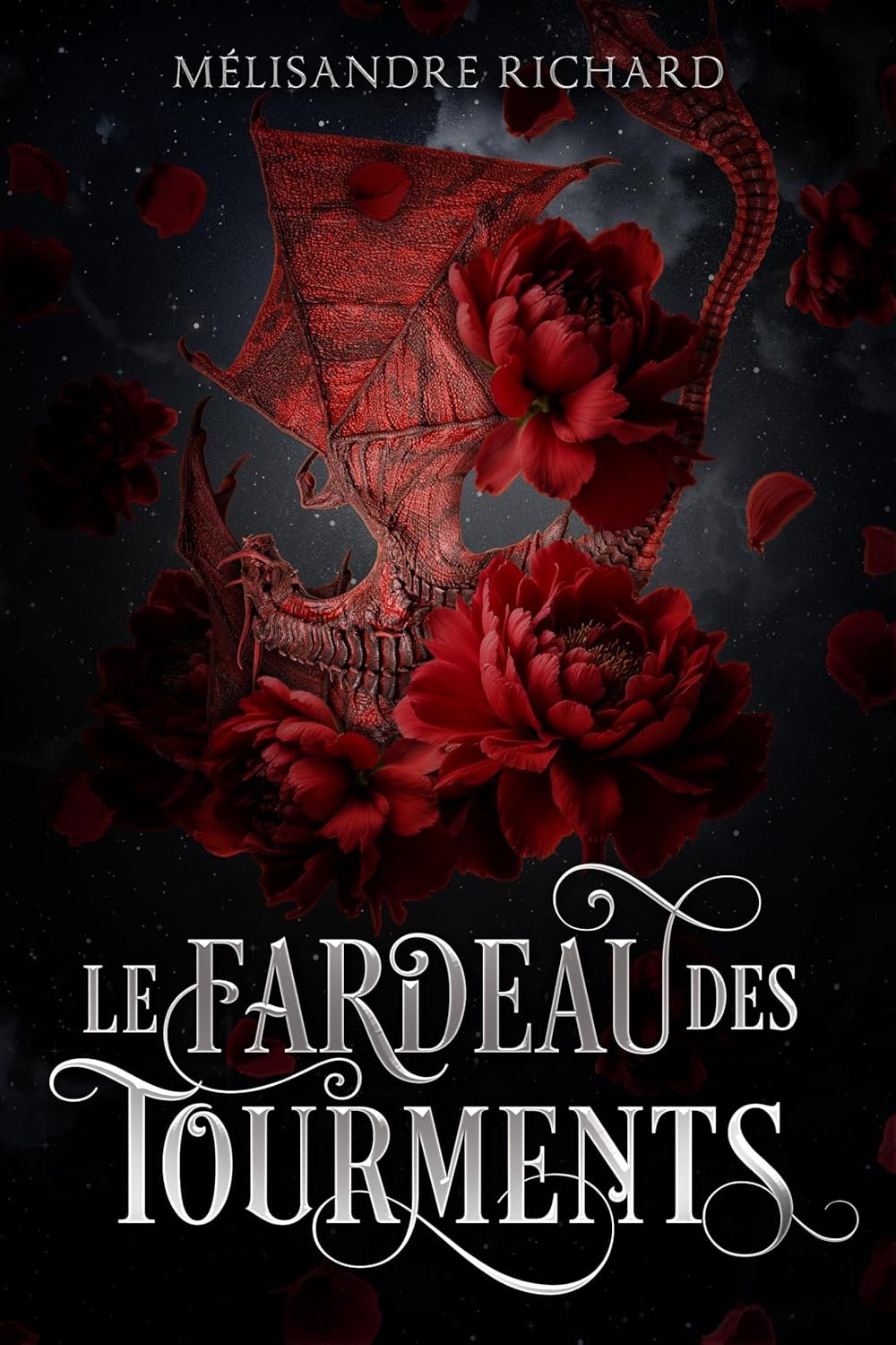 Le Fardeau des Tourments
