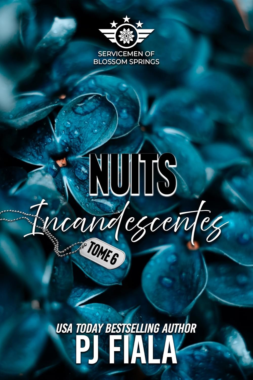 1001Ebooks - Nuits Incandescentes Nuits Incandescentes