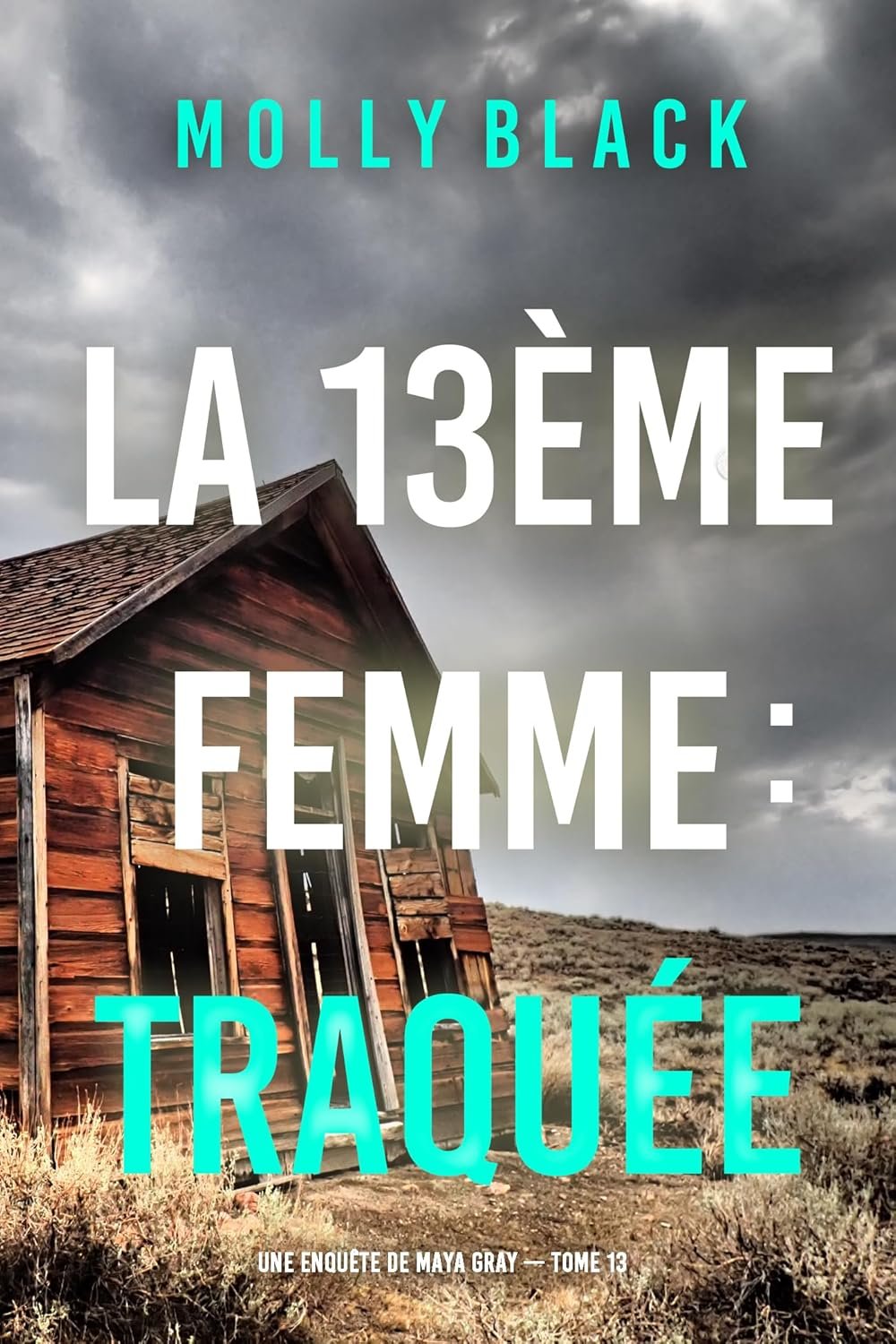 La 13ème femme : Traquée