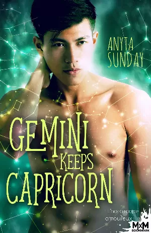 L'Horoscope amoureux, Tome 3 : Gemini Keeps Capricorn