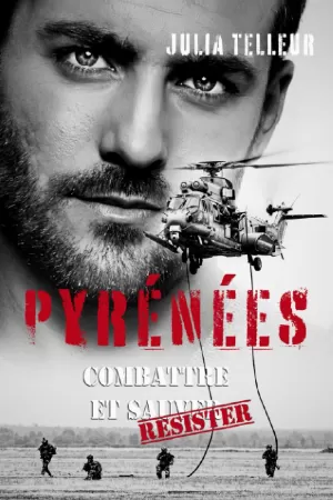 Pyrénées, Tome 2 : Combattre et résister