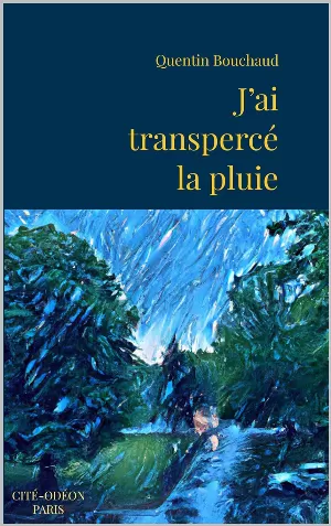 J’ai transpercé la pluie