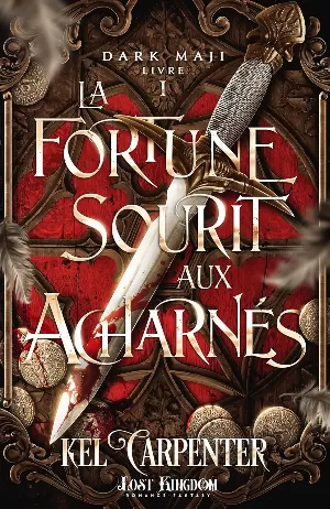 Dark Maji, Tome 1 : La Fortune sourit aux acharnés