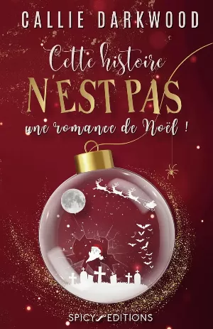 Cette histoire n'est pas une romance de Noël
