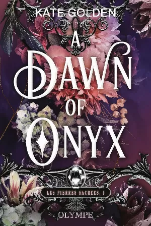 Les Pierres sacrées, Tome 1 : A Dawn of Onyx