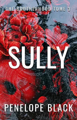 The Brotherhood, Tome 3 : Sully