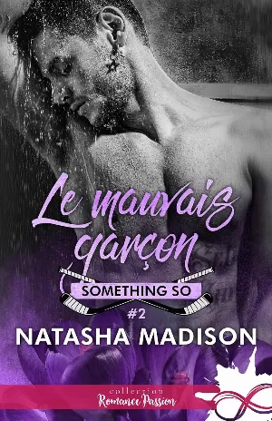 Something So, Tome 2 : Le Mauvais Garçon