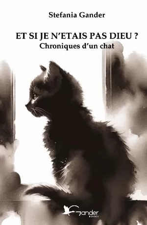 Et si je n'étais pas dieu ? Chroniques d'un chat