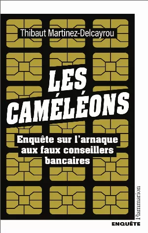 Les Caméléons: Enquête sur l'arnaque aux faux conseillers bancaires