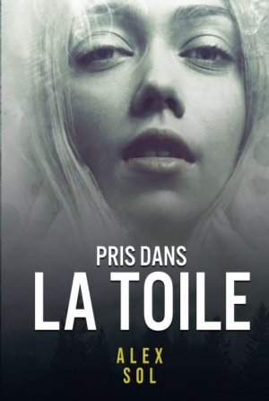 1001Ebooks - Pris dans la toile Pris dans la toile