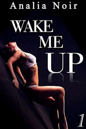 Wake Me Up – L’Intégrale