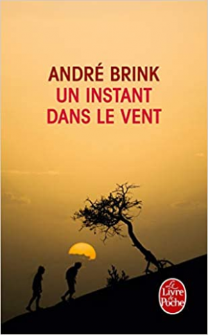 Un instant dans le vent