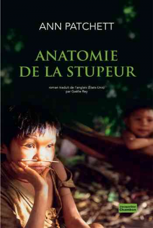 Anatomie de la stupeur