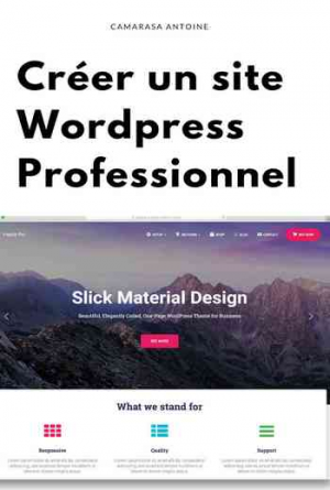 WordPress: Créer un site professionnel de A à Z