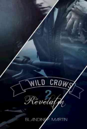 Wild Crows, Tome 1 a 4