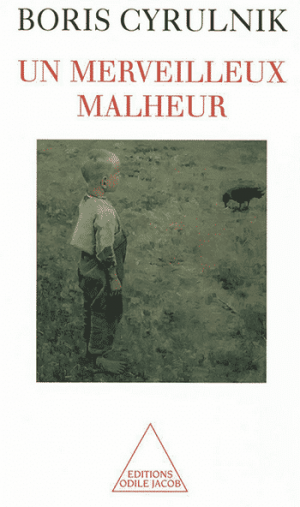 Un merveilleux malheur