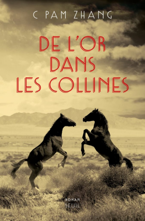 De l’or dans les collines