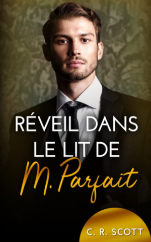Romance au bureau, Tome 1 : Réveil dans le lit de M. Parfait