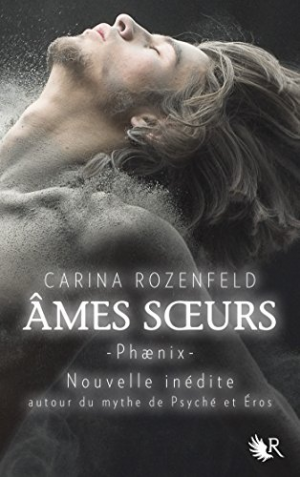 Phaenix, Tome 0 : Âmes soeurs