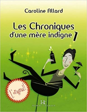 Les Chroniques d’une mère indigne, Tome 1
