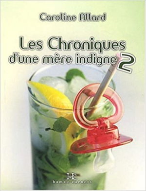 Les Chroniques d’une mère indigne, Tome 2