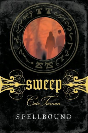 Sorcière, Tome 6 : Ensorcelée