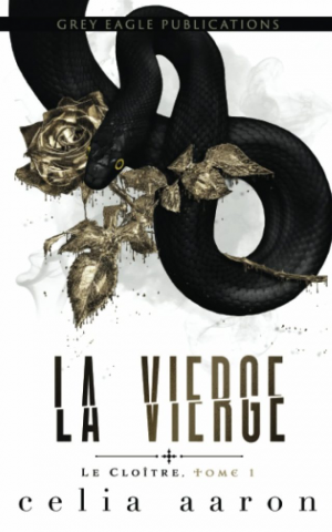 Le Cloître, Tome 1 : La Vierge