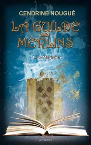 La guilde des Merlins, Tome 1