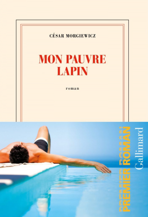 Mon pauvre l’apin