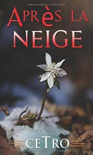 Après la neige