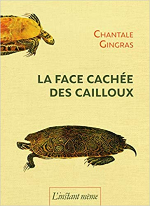 La Face Cachée des Cailloux