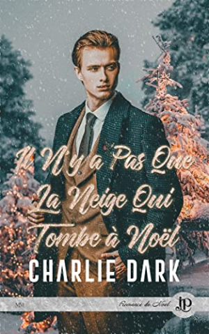 Il n’y a pas que la neige qui tombe à Noël