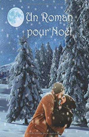 Un Roman pour Noël