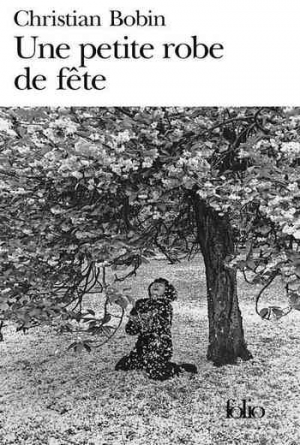 Une petite robe de fête