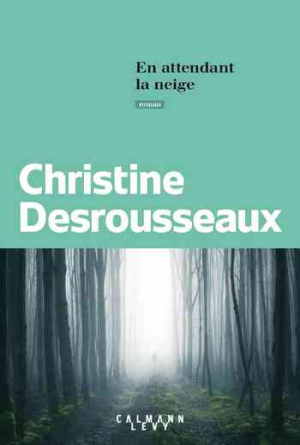 En attendant la neige