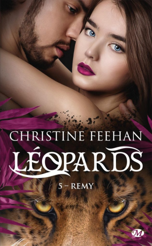 Léopards, Tome 5 : Remy