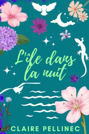 L’île dans la nuit