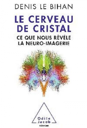 Le Cerveau de cristal